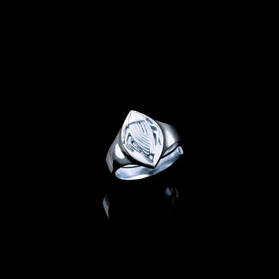 Kakerlaken Ring